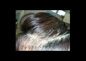 ヘナ使用前